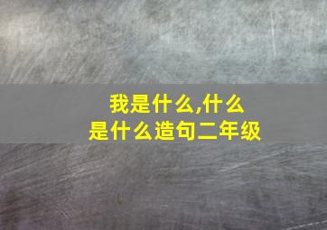 我是什么,什么是什么造句二年级