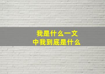 我是什么一文中我到底是什么