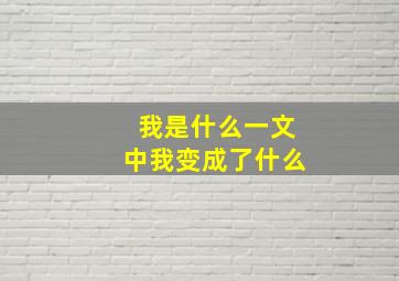 我是什么一文中我变成了什么