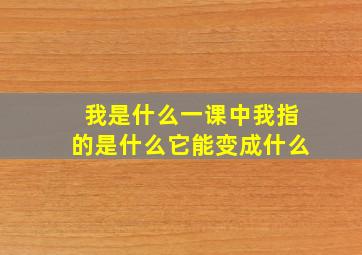 我是什么一课中我指的是什么它能变成什么