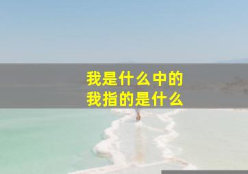 我是什么中的我指的是什么