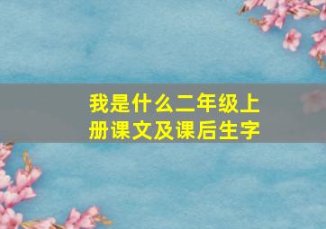 我是什么二年级上册课文及课后生字