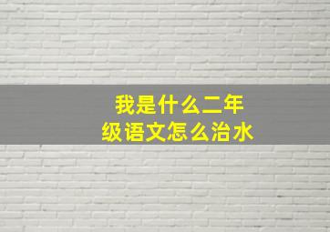 我是什么二年级语文怎么治水