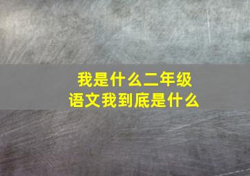 我是什么二年级语文我到底是什么