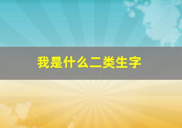 我是什么二类生字