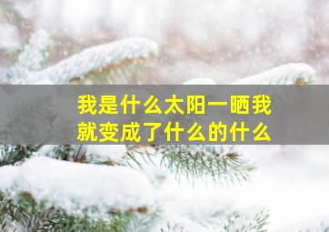 我是什么太阳一晒我就变成了什么的什么