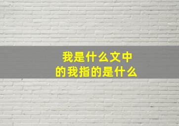 我是什么文中的我指的是什么