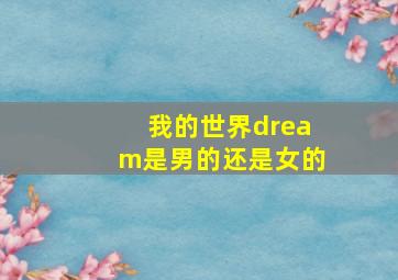 我的世界dream是男的还是女的