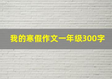 我的寒假作文一年级300字