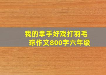 我的拿手好戏打羽毛球作文800字六年级