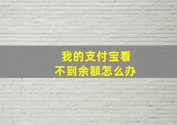 我的支付宝看不到余额怎么办