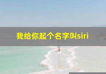 我给你起个名字叫siri