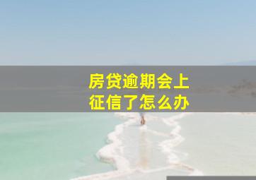 房贷逾期会上征信了怎么办