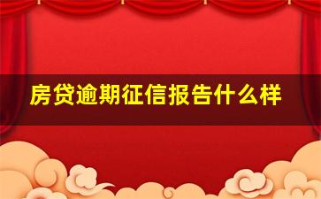 房贷逾期征信报告什么样