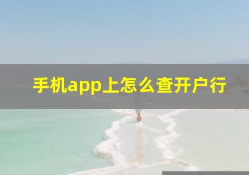 手机app上怎么查开户行