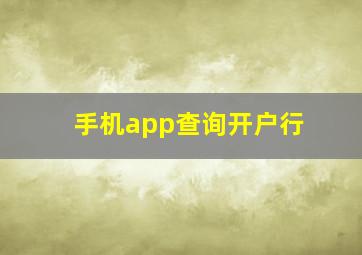 手机app查询开户行