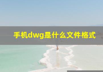 手机dwg是什么文件格式