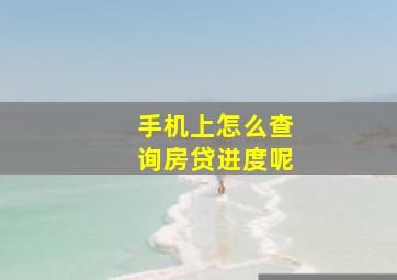 手机上怎么查询房贷进度呢