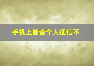 手机上能查个人征信不