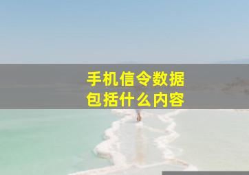 手机信令数据包括什么内容