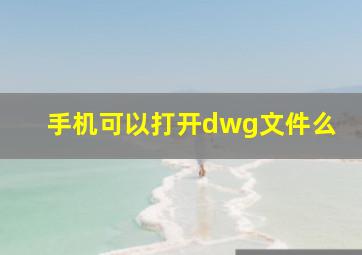 手机可以打开dwg文件么