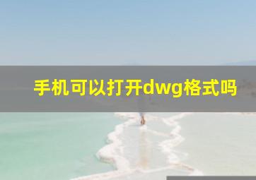 手机可以打开dwg格式吗