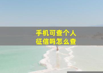 手机可查个人征信吗怎么查