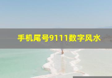 手机尾号9111数字风水