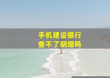 手机建设银行查不了明细吗