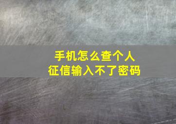 手机怎么查个人征信输入不了密码