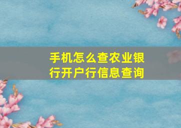 手机怎么查农业银行开户行信息查询