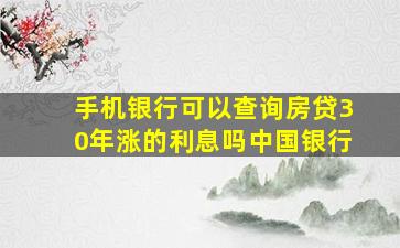 手机银行可以查询房贷30年涨的利息吗中国银行