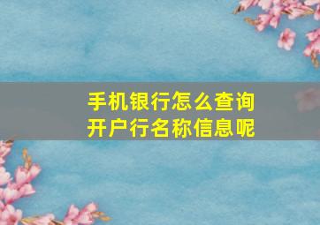 手机银行怎么查询开户行名称信息呢