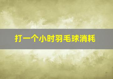 打一个小时羽毛球消耗