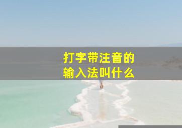 打字带注音的输入法叫什么