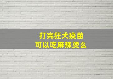 打完狂犬疫苗可以吃麻辣烫么