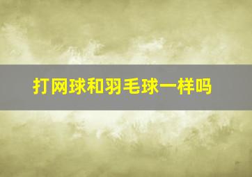 打网球和羽毛球一样吗