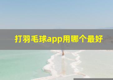 打羽毛球app用哪个最好