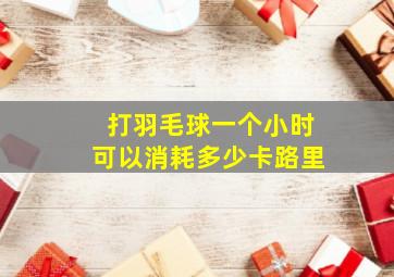 打羽毛球一个小时可以消耗多少卡路里