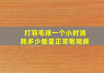 打羽毛球一个小时消耗多少能量正常呢视频