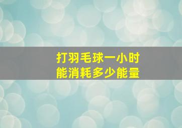 打羽毛球一小时能消耗多少能量