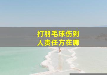 打羽毛球伤到人责任方在哪