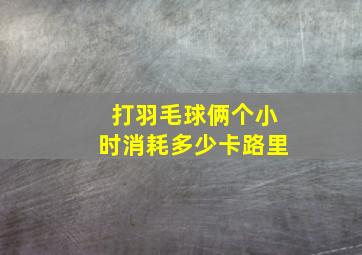 打羽毛球俩个小时消耗多少卡路里