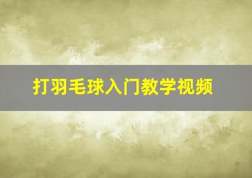 打羽毛球入门教学视频