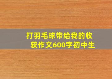 打羽毛球带给我的收获作文600字初中生