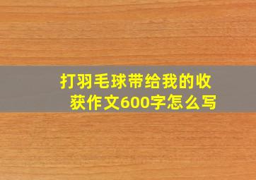 打羽毛球带给我的收获作文600字怎么写