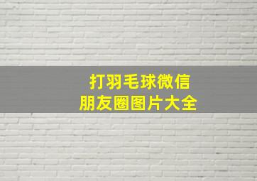 打羽毛球微信朋友圈图片大全