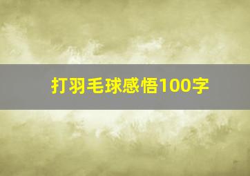 打羽毛球感悟100字