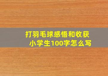 打羽毛球感悟和收获小学生100字怎么写