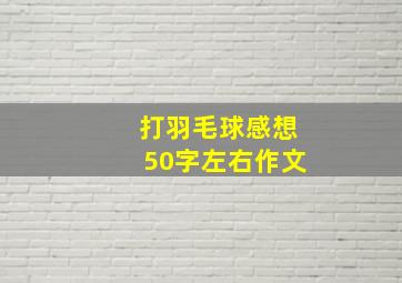 打羽毛球感想50字左右作文